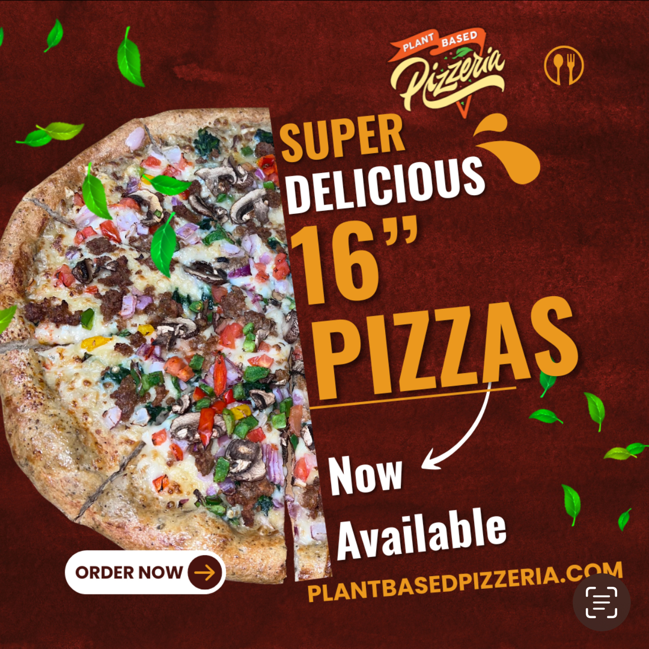 Delicious Vegan Pizza and More!