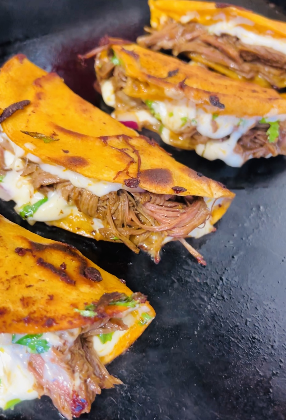 DELICIOUS QUESABIRRIAS